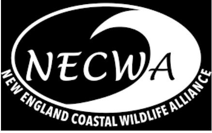 NECWA Logo
